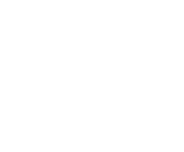 Pecheny Pneus